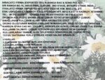 FLUTE ÇUBUK TÜTSÜ CHAMOMILE - Görsel 2