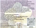 FLUTE ÇUBUK TÜTSÜ ORCHID - Görsel 3