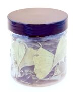 KRK GIDA GİNKO BİLOBA 30GR - Görsel 3